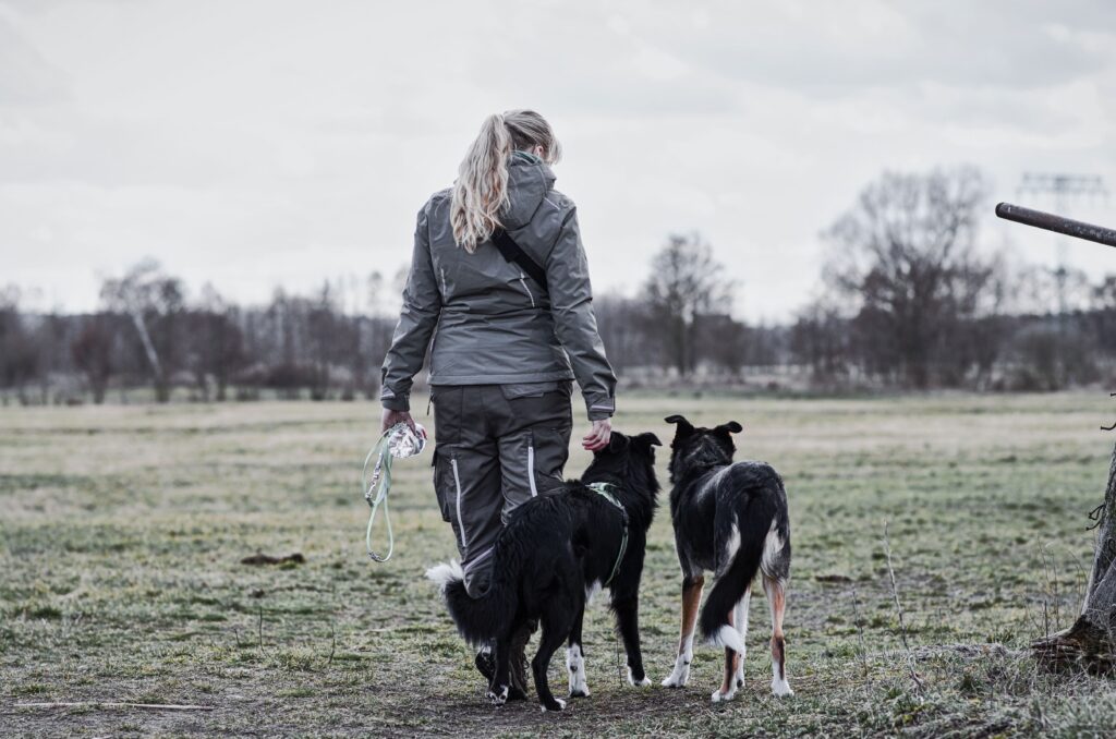 HundeSofa, Mobile Hundeschule in Potsdam, Mobile Hundeschule, Hundeschule HundeSofa, Wald, Fotografie, Hundeschule, Welpenkurs, Hundetraining, Hundeerziehung, Hundeschule Potsdam, Hundeschule Welpen