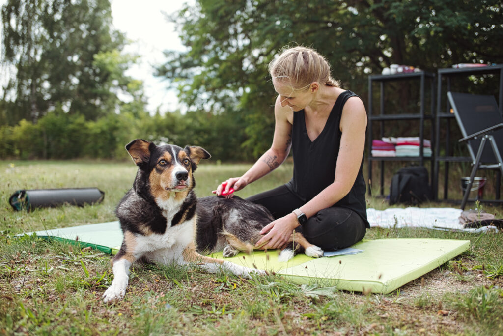 HundeSofa, Mobile Hundeschule in Potsdam, Mobile Hundeschule, Hundeschule HundeSofa, Wald, Fotografie, Hundeschule, Welpenkurs, Hundetraining, Hundeerziehung, Hundeschule Potsdam, Hundeschule Welpen