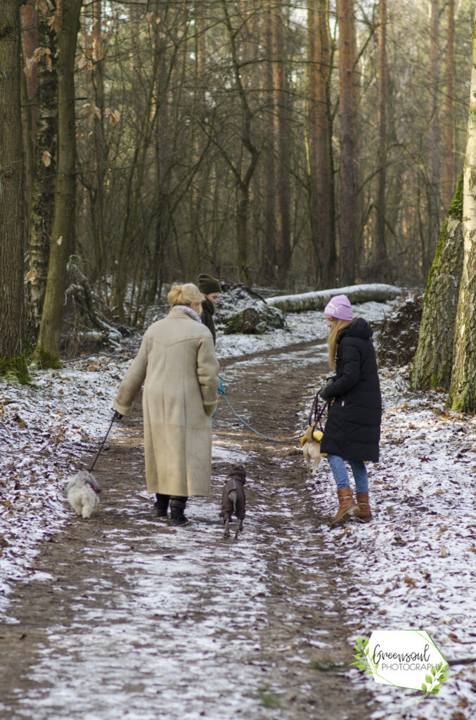 HundeSofa, Mobile Hundeschule in Potsdam, Mobile Hundeschule, Hundeschule HundeSofa, Wald, Fotografie, Hundeschule, Welpenkurs, Hundetraining, Hundeerziehung, Hundeschule Potsdam, Hundeschule Welpen