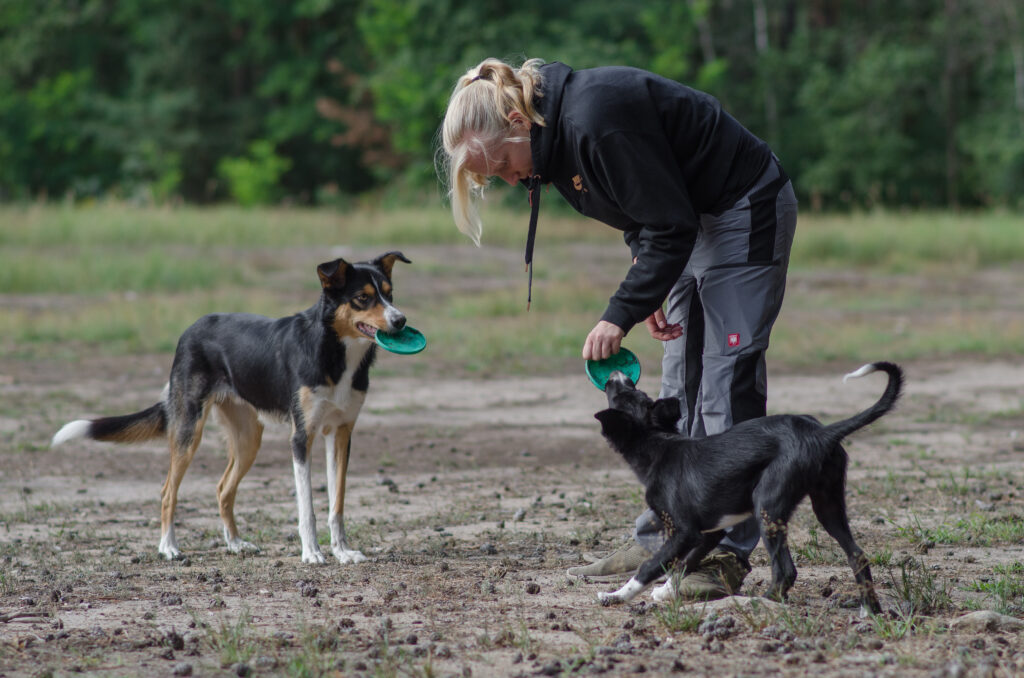 HundeSofa, Mobile Hundeschule in Potsdam, Mobile Hundeschule, Hundeschule HundeSofa, Wald, Fotografie, Hundeschule, Welpenkurs, Hundetraining, Hundeerziehung, Hundeschule Potsdam, Hundeschule Welpen