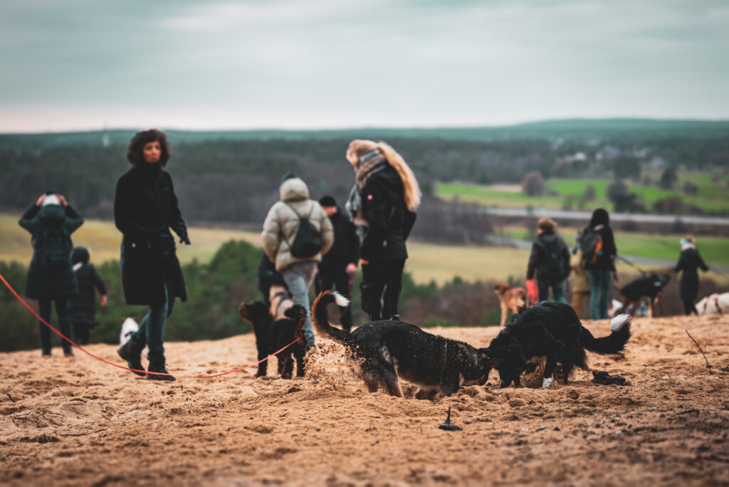 HundeSofa, Mobile Hundeschule in Potsdam, Mobile Hundeschule, Hundeschule HundeSofa, Wald, Fotografie, Hundeschule, Welpenkurs, Hundetraining, Hundeerziehung, Hundeschule Potsdam, Hundeschule Welpen