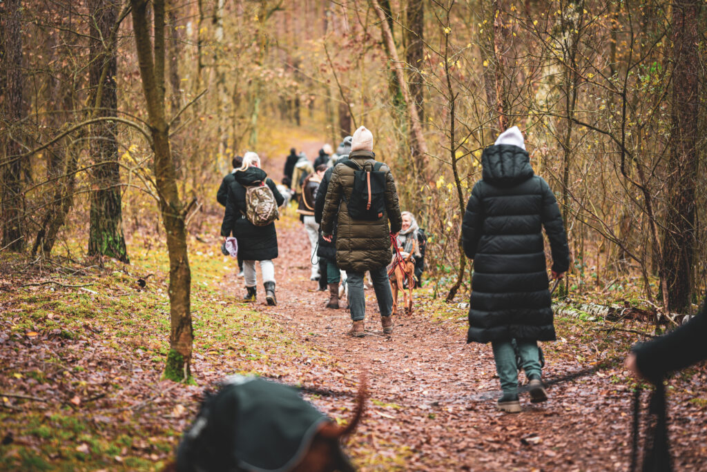 HundeSofa, Mobile Hundeschule in Potsdam, Mobile Hundeschule, Hundeschule HundeSofa, Wald, Fotografie, Hundeschule, Welpenkurs, Hundetraining, Hundeerziehung, Hundeschule Potsdam, Hundeschule Welpen